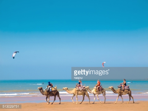 513029751-camel-caravan-in-essaouira-gettyimages